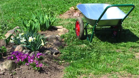Garden wheelbarrow Stock Footage 23314758
