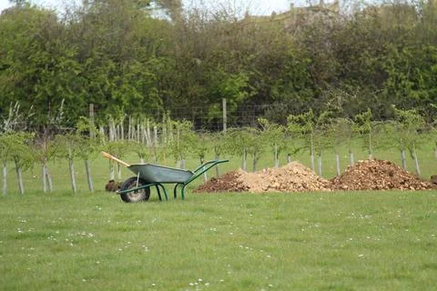 Garden Wheelbarrow. Stockfoto's