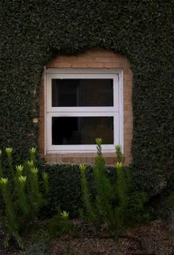 Garden Window-2 Foto stock