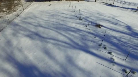 Garden in winter Stock Footage 88734863