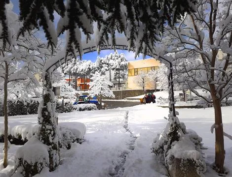 Garden winter Stock Photos