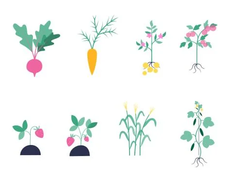 Garden work concept vector Stock Illustration