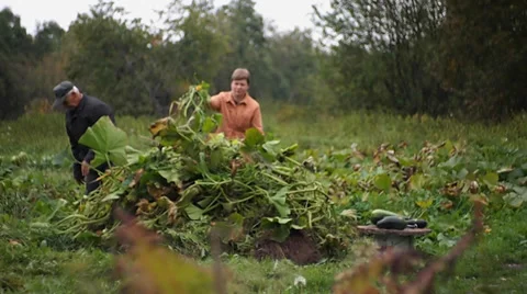Garden work Stock-Footage 29668785