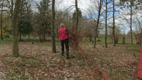 Garden work Stock Footage 154429199