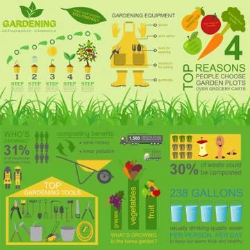 Garden work infographic elements. Working tools set Illustrazione stock