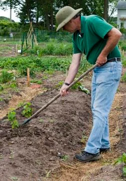 Garden work 库存照片