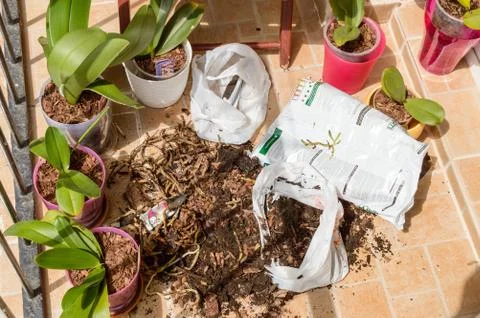 Garden work Stock Photos