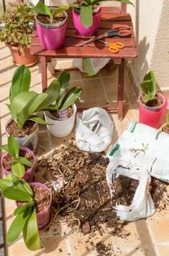 Garden work Stock Photos