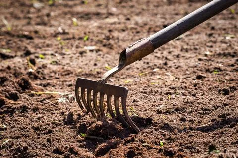 Garden work. rake in the ground. digging rping soil with rake in the garden Stock Photos