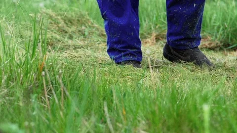 The Garden Worker Cuts the Grass With a Trimmer Stock Footage 75435450
