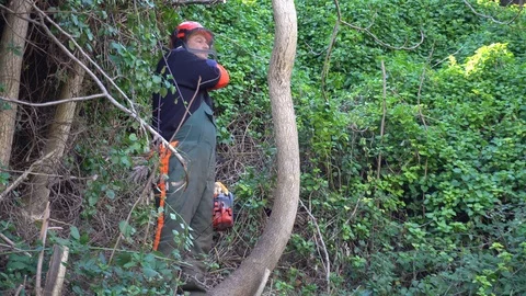 Garden worker cutting down invasive plants Stock Footage 107055565