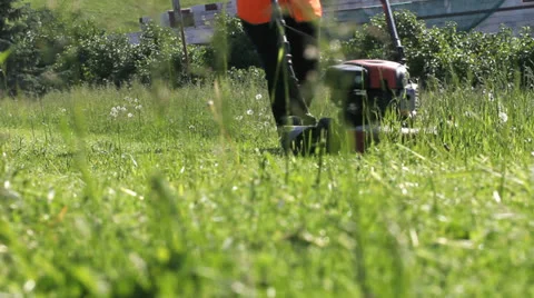 Garden worker cutting overgrown grass with lawn mower weeding machine Stockbeeldmateriaal 24603929