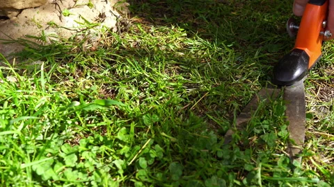 Garden worker using manual scissors for cutting fresh grown green grass on lawn Stock Footage 203838443