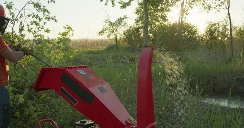 Garden worker using wood chipper shredder for making mulch Stock Footage 306269870