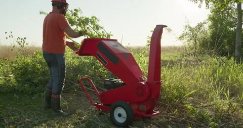Garden worker using wood chipper shredder machine to make branch mulch Stock Footage 306595289