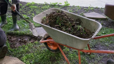 Garden workers moving earth in rustic landscape 스톡 동영상 311892772
