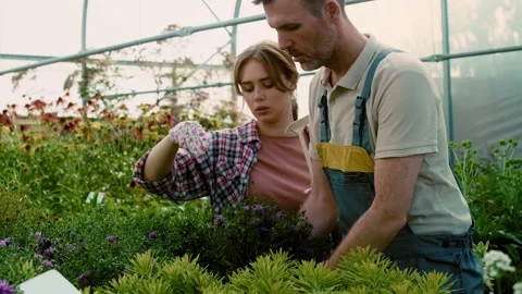 Garden workers putting empty label into flower box Video stock 266983077