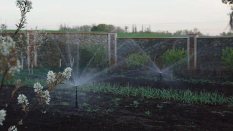 Garden, yard, lawn, grass automatic irrigation watering system Stock Footage 129176591