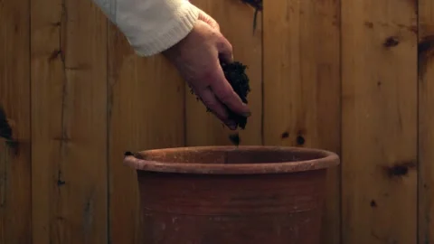Gardener adding soil to plant pot on wooden background Stock Footage 260929209