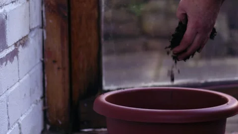 Gardener adding soil to plant pot on Stock Footage 263064802