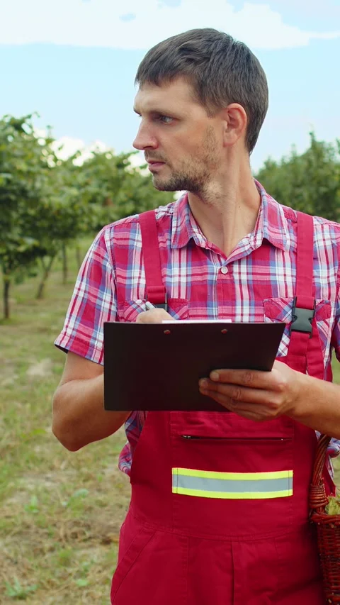 Gardener agronomist man farmer analyze quality of hazelnuts trees in garden Stock Footage 323338053