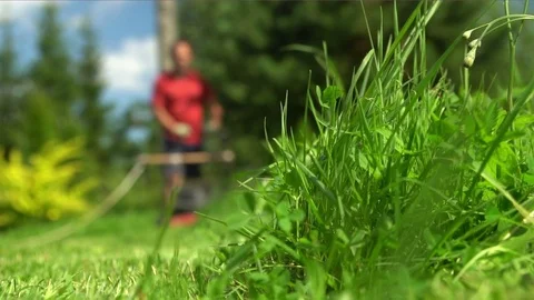 Gardener approaching with lawnmower Video stock 78907184