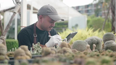 Gardener asian man checking cactus plot with tablet. Vídeos de archivo 220637387
