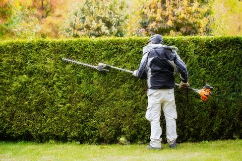 A gardener with automatic shears cuts a hedge Stock Photos