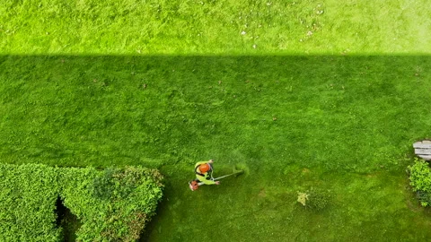Gardener with backpack brushcutter Stock Footage 135581189
