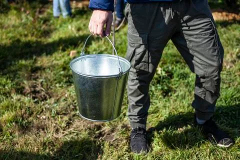 Gardener with a bucket. Metal bucket for water. Stock Photos