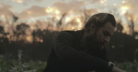 Gardener checking organic vegetable crops at sunrise Stock Footage 76404728