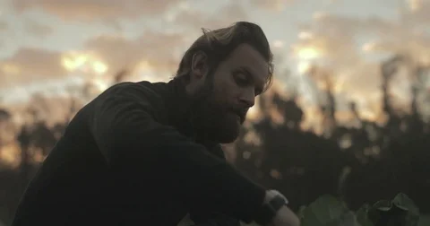 Gardener checking organic vegetable crops at sunrise Stock Footage 76404764