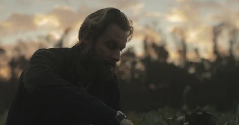 Gardener checking organic vegetable crops at sunrise Stock Footage 76404767