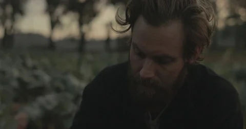 Gardener checking organic vegetable crops at sunrise Stock Footage 76404851