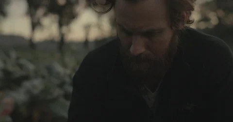 Gardener checking organic vegetable crops at sunrise Stock Footage 76404943