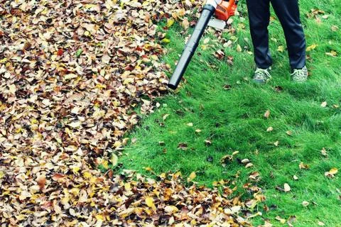 Gardener clearing up the leaves using a leaf blower tool Foto stock