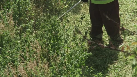 Gardener clearing out almost all overgrown grass and weeds on a plot with a.. Vídeos de archivo 337713985