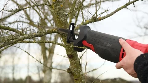 A gardener cuts branches on a tree with a reciprocating saw. Video stock 300370784