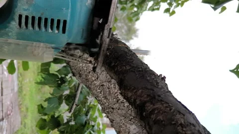 Gardener cuts down a tree branch with an electric jigsaw Stock Footage 138791613