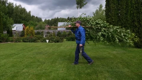 A gardener cuts down a young tree and carries it to recycling. Stock Footage 246554789