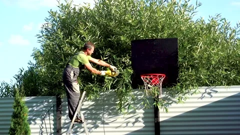 A gardener cuts excess branches over a fence in garden with an electric trimmer Stock Footage 234785167