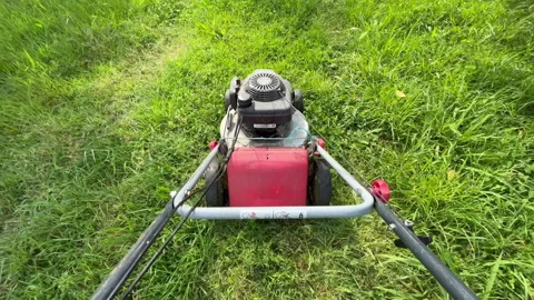 A gardener cuts the grass on the lawn Stock Video Pond5
