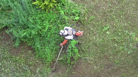 Gardener cuts grass with string trimmer in garden - Male Worker and Cutter Lawn Stock Footage 339813490
