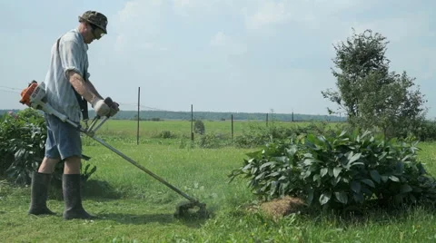 The gardener cuts the grass using a lawnmower Stock Footage 66545328