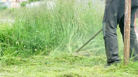 Gardener cuts a grass using a lawnmower outdoors Stock Footage 78076961