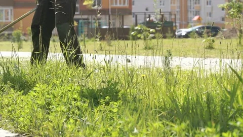 Gardener cuts a grass using a lawnmower outdoors Stock Footage 78079365