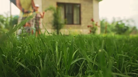 Gardener cuts high grass Видео 159294290