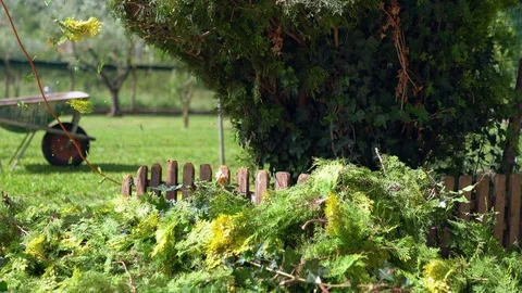 Gardener cutting dry branches from the trees and bushes. Gardener equipment Stock Footage 110703338