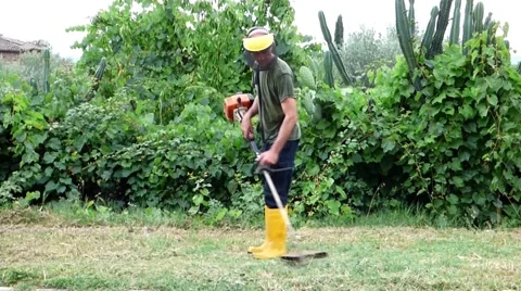 Gardener cutting the grass Stock Footage 68785864