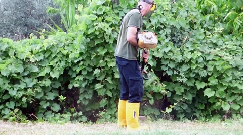 Gardener cutting the grass Stock Footage 68786088